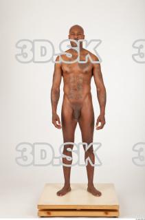 Body texture of Virgil 0012